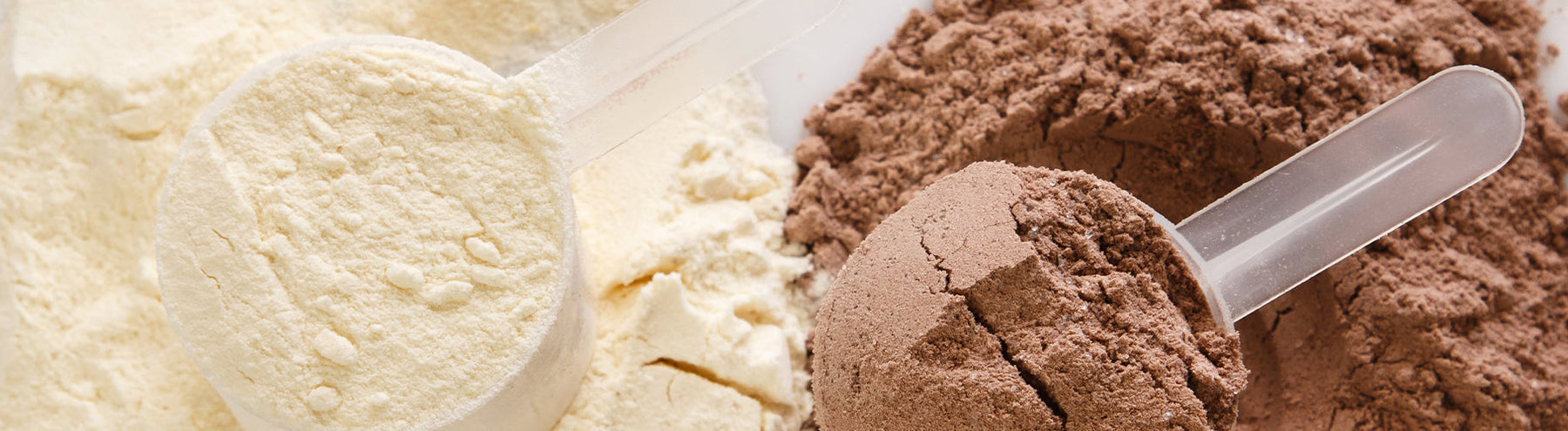 Scoops of vanilla and chocolate protein powder.
