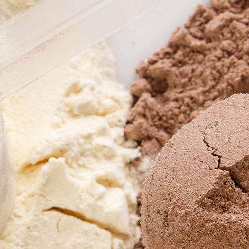 Scoops of vanilla and chocolate protein powder.